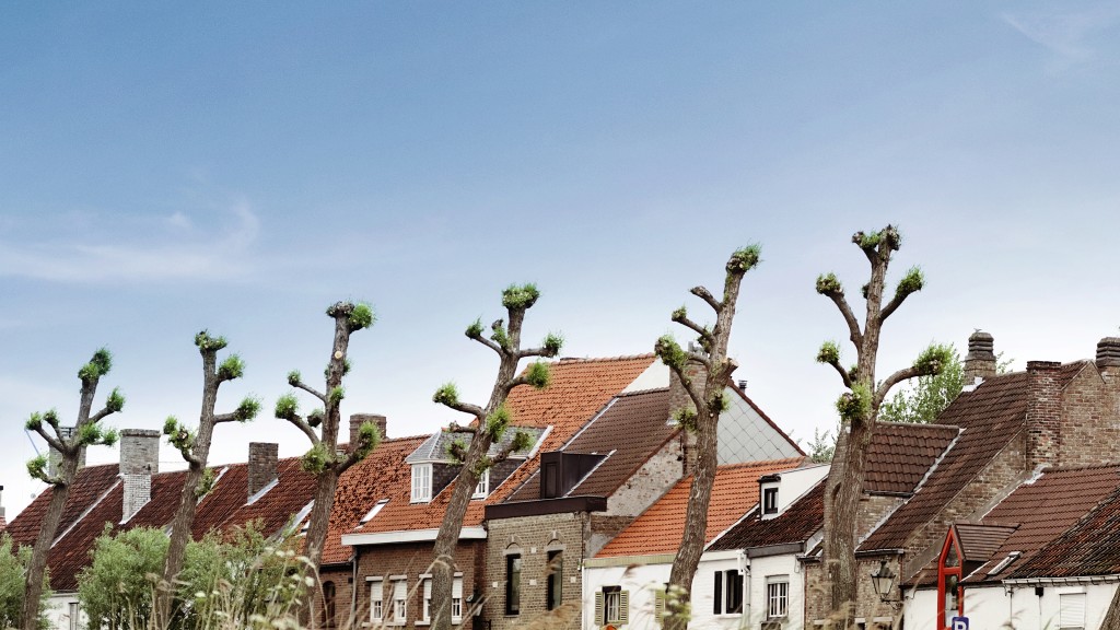 Dankzij de ontwikkeling van hernieuwbare verwarmingssystemen, zoals onze warmtepompen, zet Buderus zich in voor het behoud van het milieu.