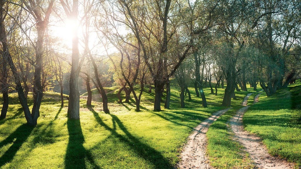 Tipps zum Energiesparen