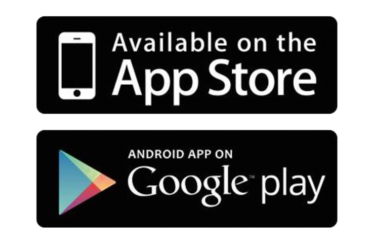 App Store & Google play Icon App Store & Google play Icon