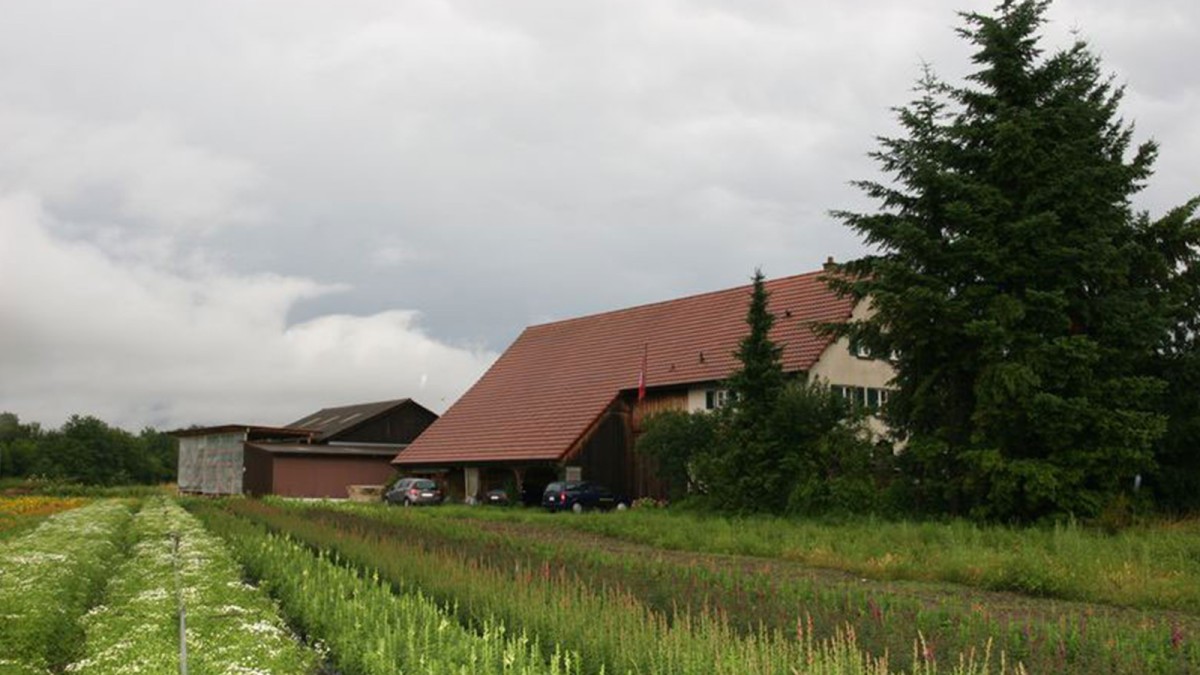 Haus in Augst, Schwarzackerhof
