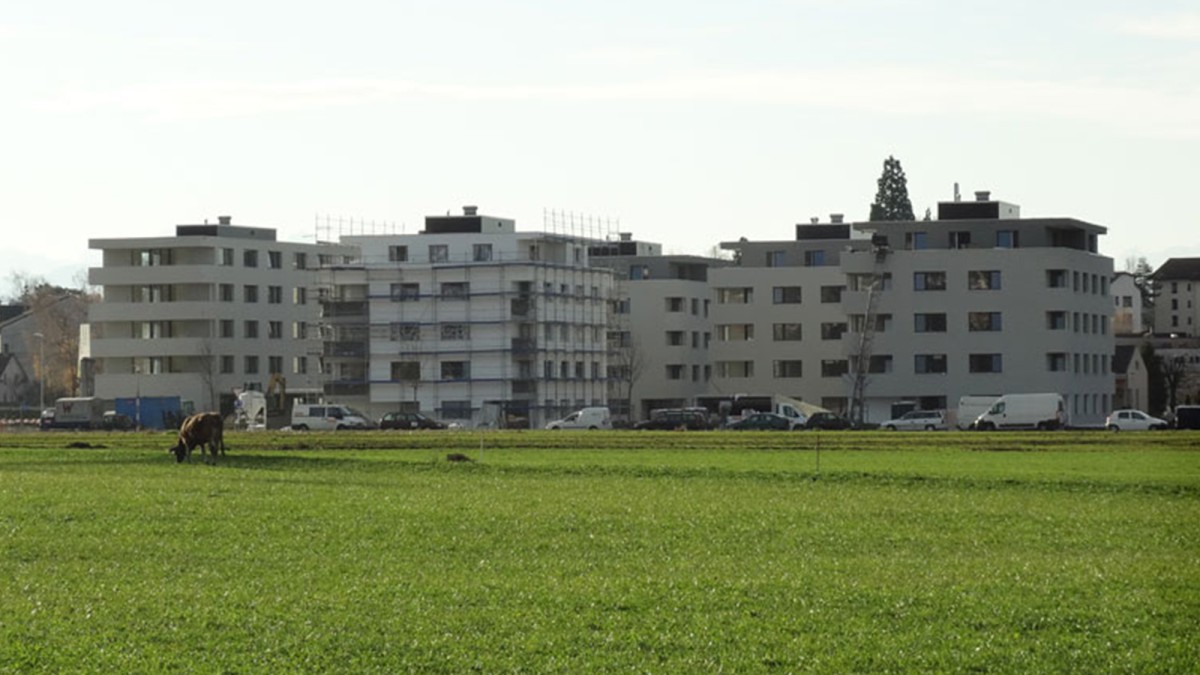 Wohnüberbauung Widum West, Hedi-Lang-Strasse in Wetzikon