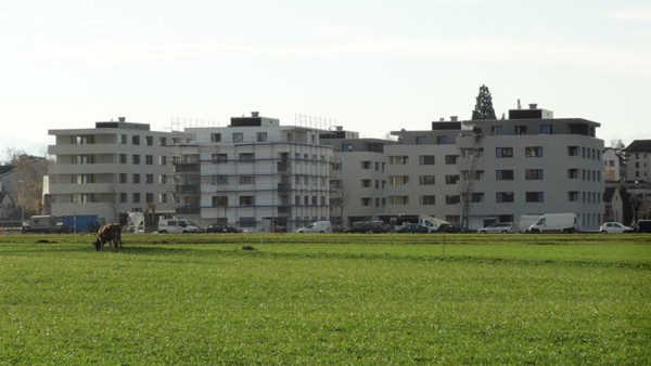 Wohnüberbauung Widum West, Hedi-Lang-Strasse in Wetzikon