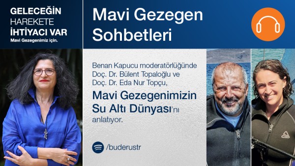 Su Altı Dünyası